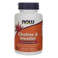 Now Foods Cholin & Inositol - 100 pflanzliche Kapseln
