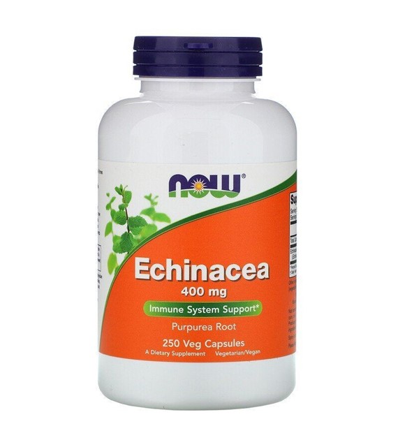 Now Foods Echinacea 400 mg - 250 kapsułek